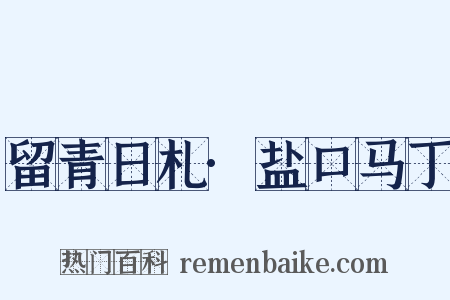留青日札·盐口马丁是什么意思的图片